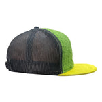 A246823Y_GREEN-BLACK 847_back