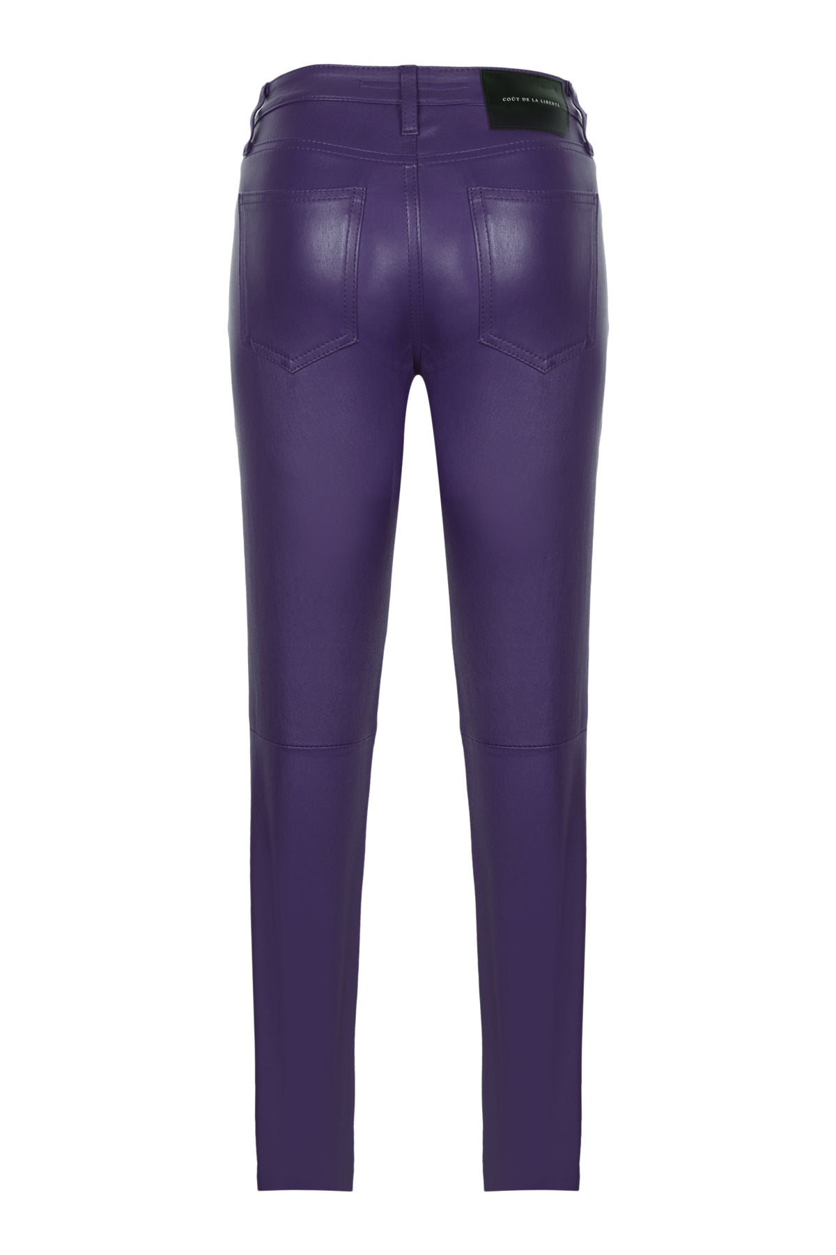 W066234_PURPLE 508_back