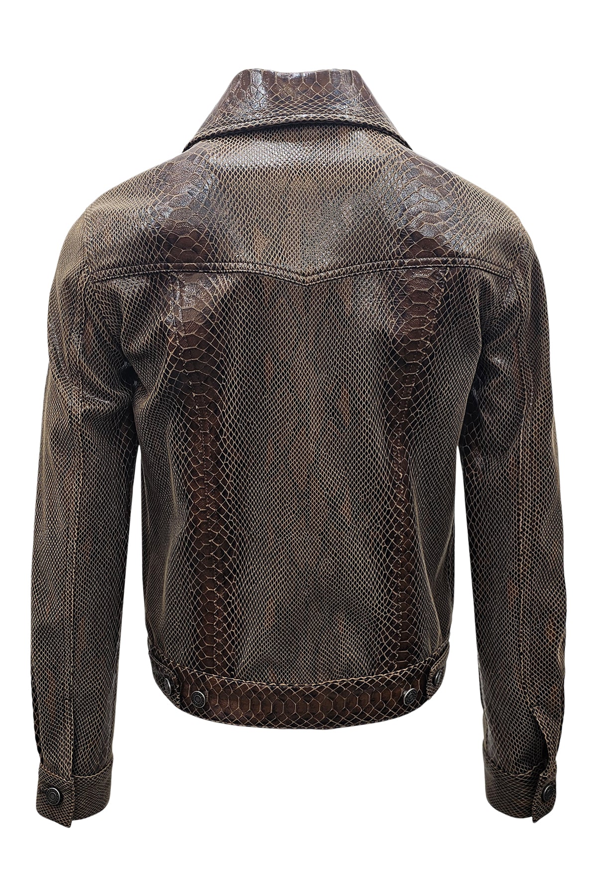 W315953_BROWN 520_back