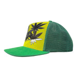 A275823W_GREEN-CITREON 716_back