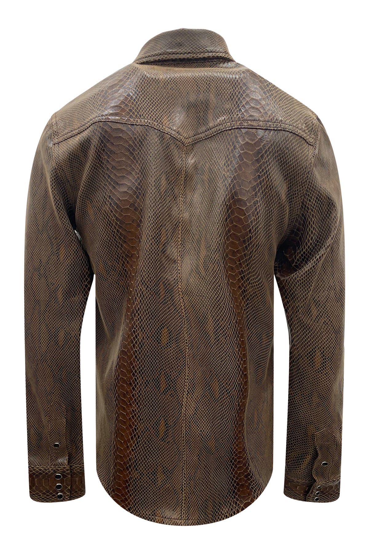 M315706_BROWN 520_back