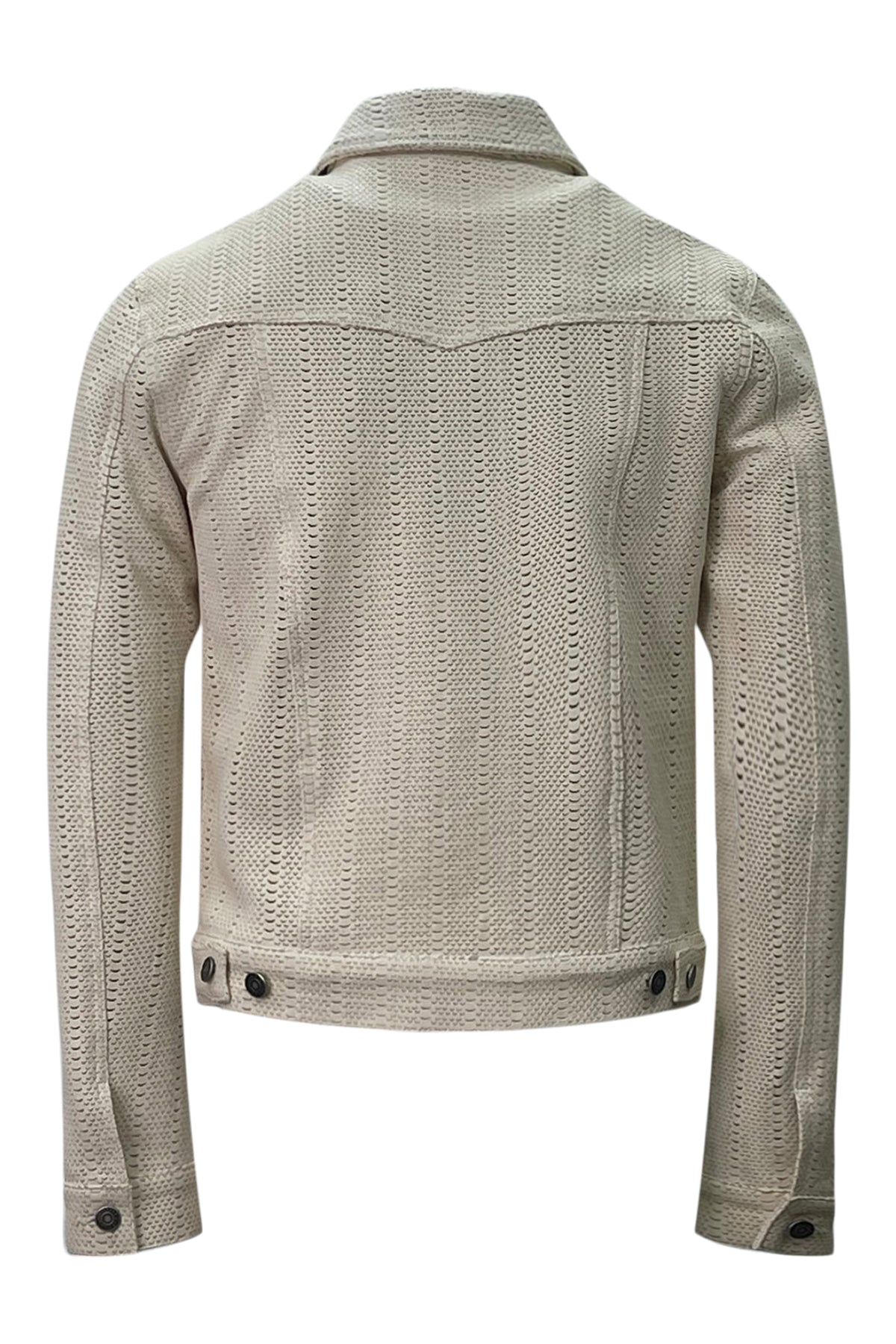 M665967_NATURAL 588_back