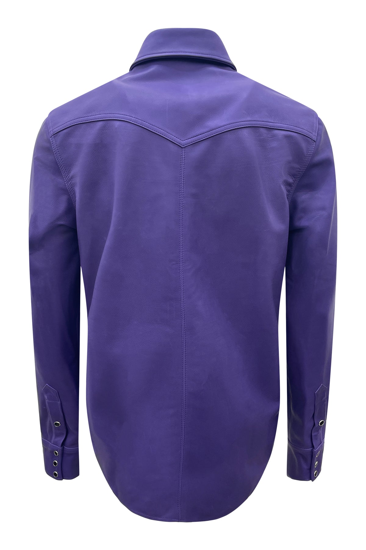M102706_PURPLE 508_back