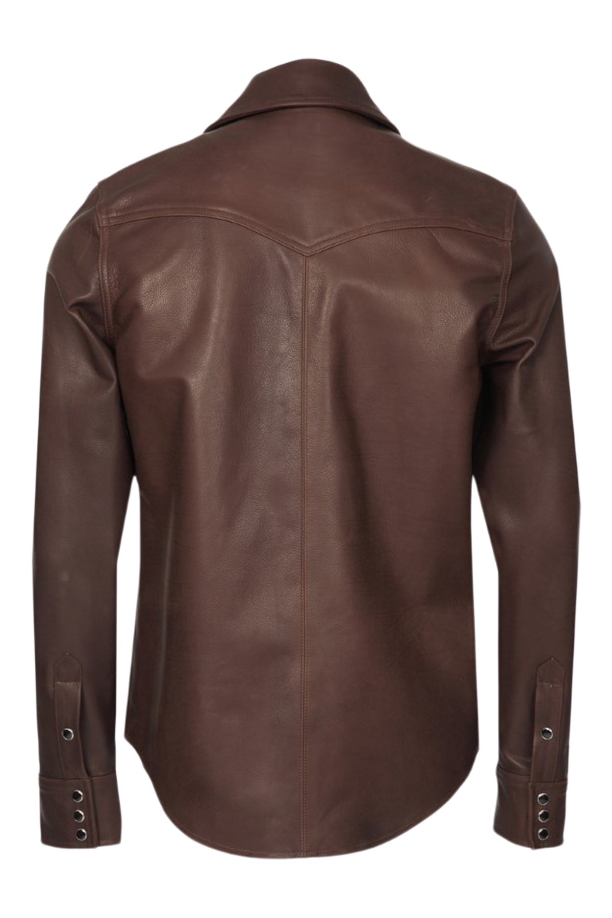M102706_BROWN 520_back