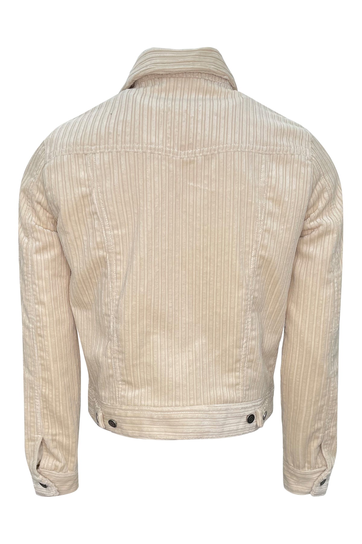 M128911_IVORY 501_back